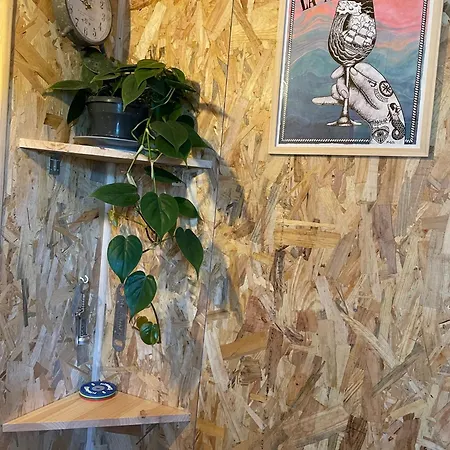 La Wodapalousa, Surf & Crossfit Guesthouse, 800m From 3*